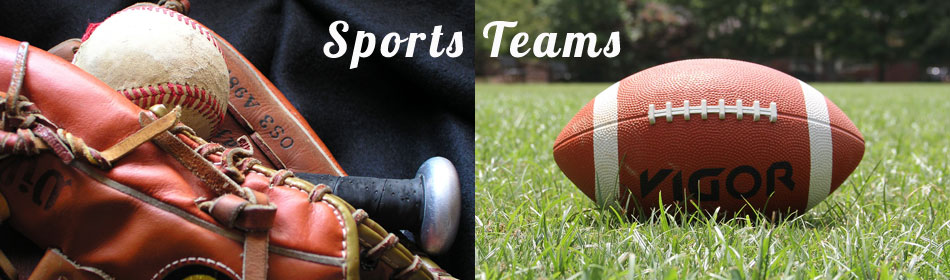 Sports teams, football, baseball, hockey, minor league teams in the New Hope, Bucks County PA area